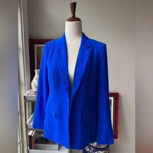 Skies Are Blue Vibrant Blue Blazer